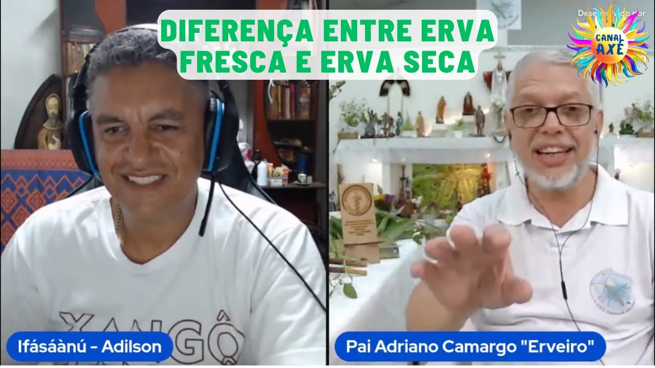 Qual a diferença entre ervas frescas e ervas secas?