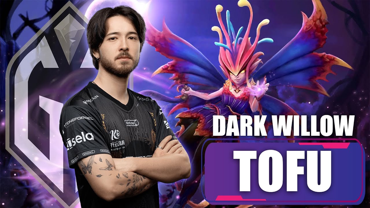 TOFU DARK WILLOW POS 4 POV | GG vs Team Liquid | PGL Wallachia S5 Playoffs | Dota 2 Playmaker POV