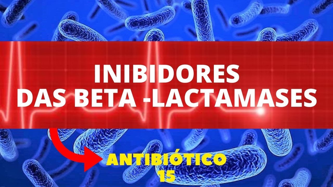INIBIDORES DAS BETALACTAMASES - ANTIBIÓTICO 15