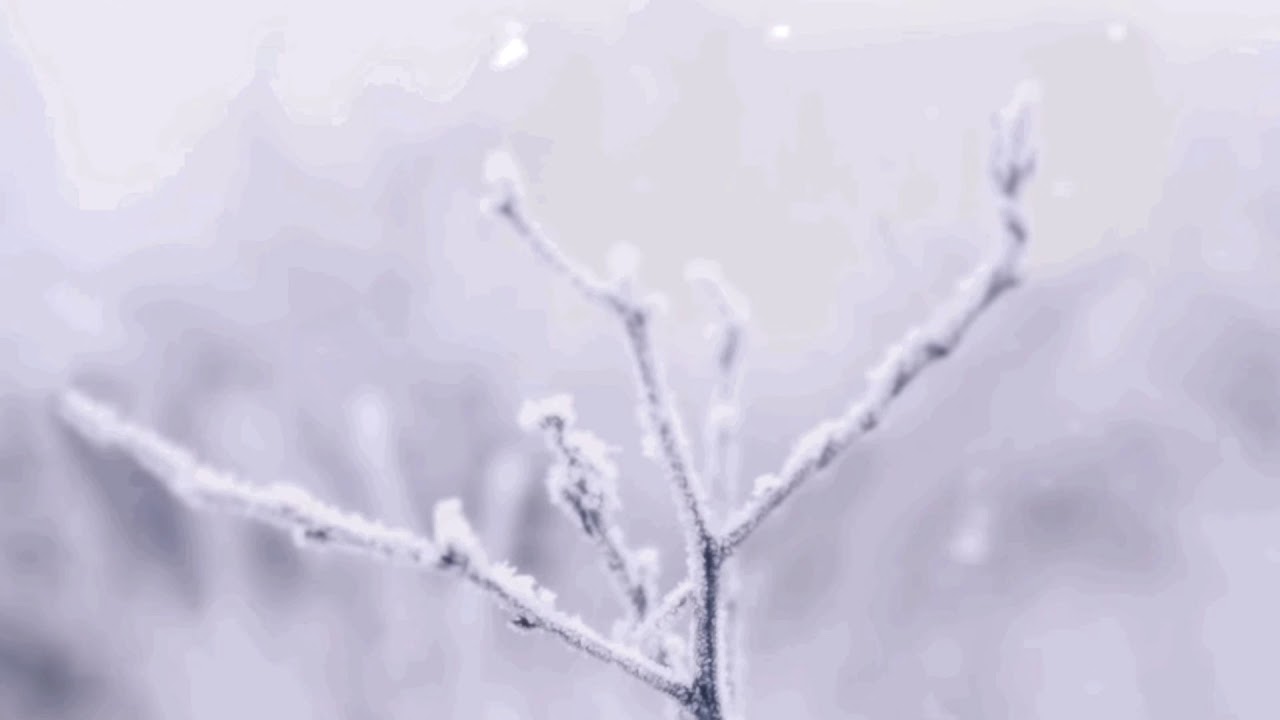 evermore🤍 테일러 스위프트(feat. Bon Iver) - evermore (가사해석/한글자막)