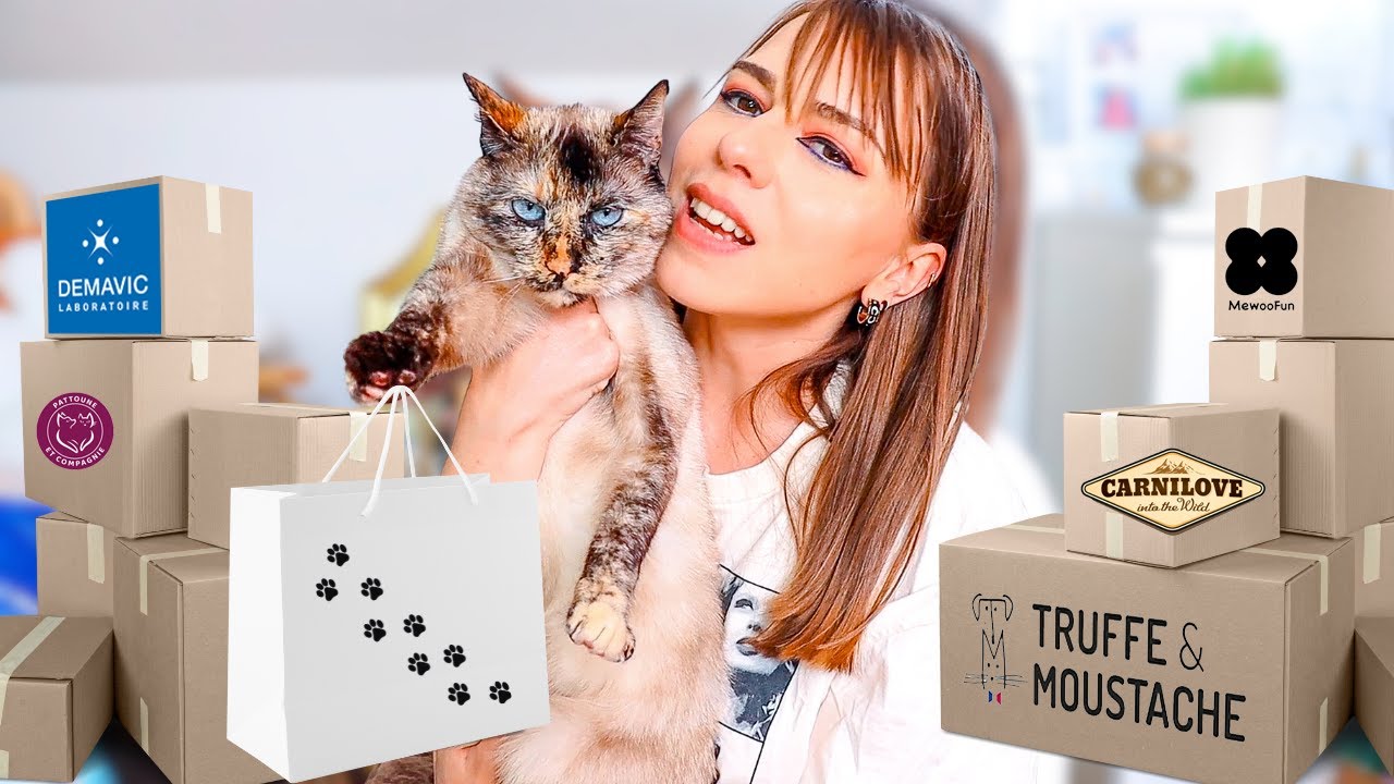 UNBOXING PETFLUENCER 📦 : Les Nouveautés pour Chats que j'ai Reçues