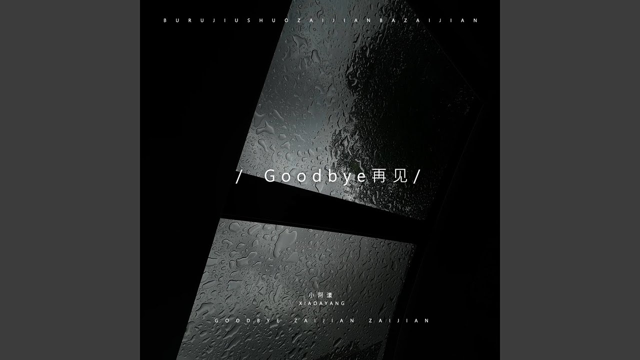 Goodbye再见 (卡点节奏版)
