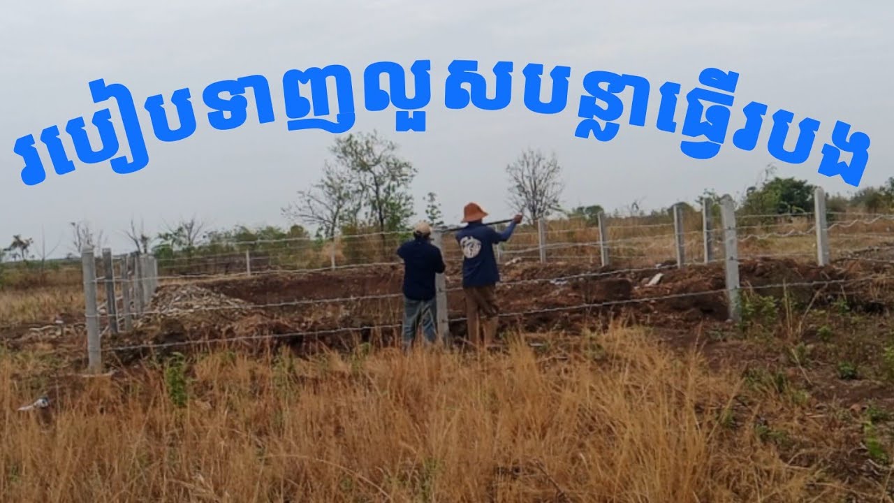 របៀបទាញលួសបន្លាធ្វើរបង