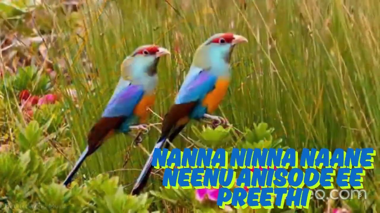 Ondu manasinda