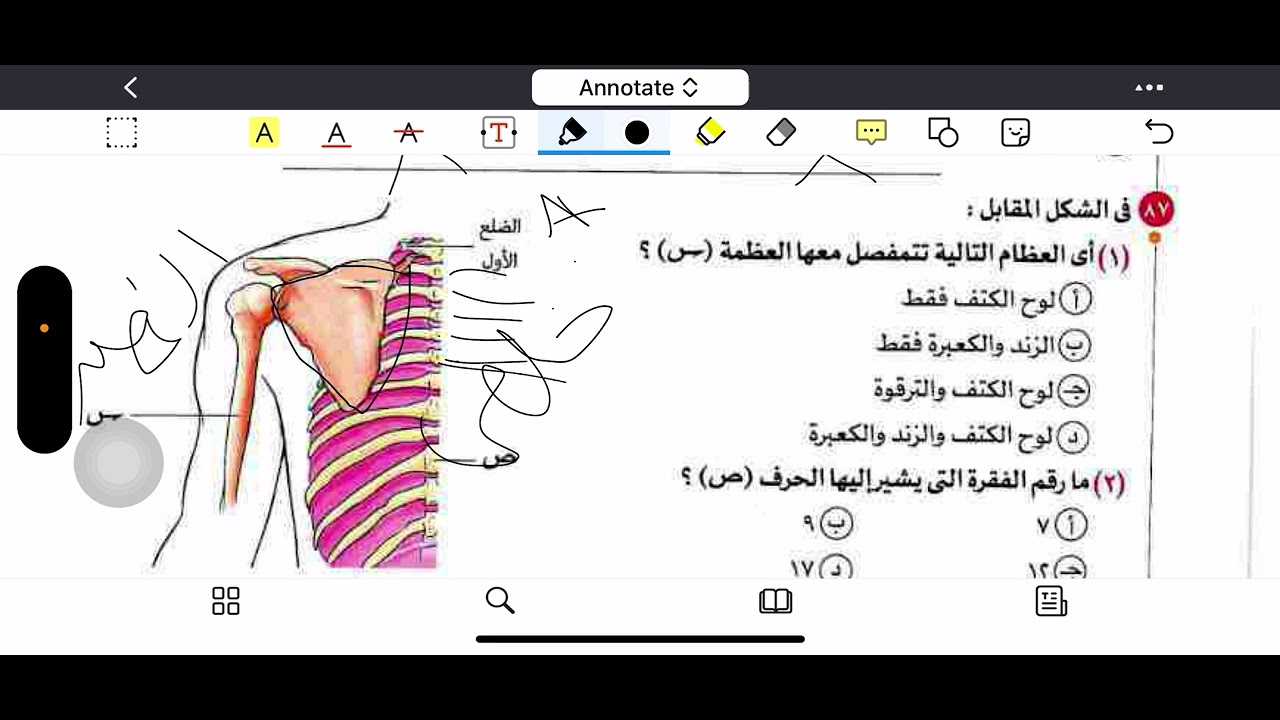 حل اسئلة الدرس الأول كتاب الامتحان أحياء ٣ ث (الجزء الثالث) ٢٠٢٦ د.عبدالله الصاوي
