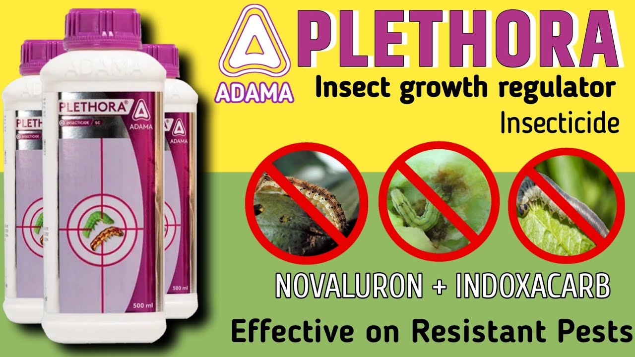 Plethora Insecticide | Adama Plethora Insecticide |