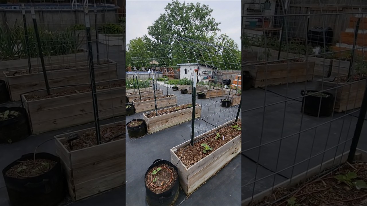 DIY Outdoor Raised Garden Bed Setup Ohio