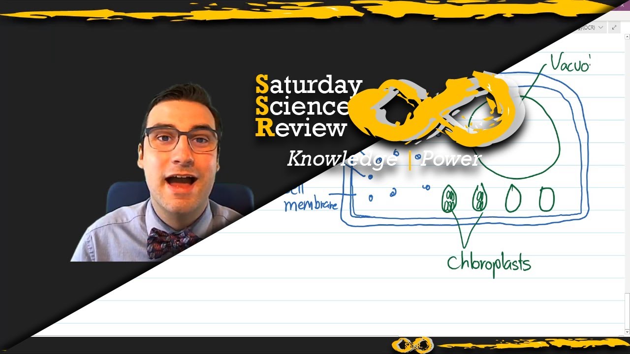 B1 - Cell Level Systems (OCR Combined Science)