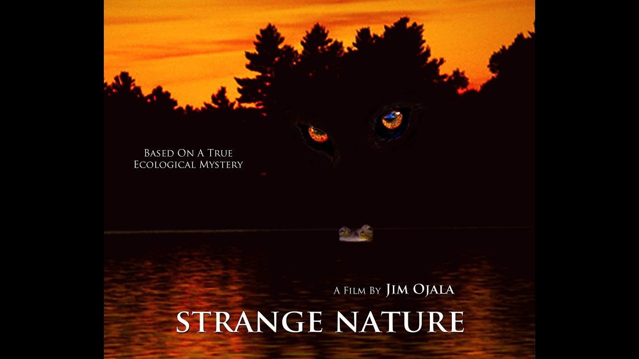 STRANGE NATURE Eco Horror Film Kickstarter Pitch Video
