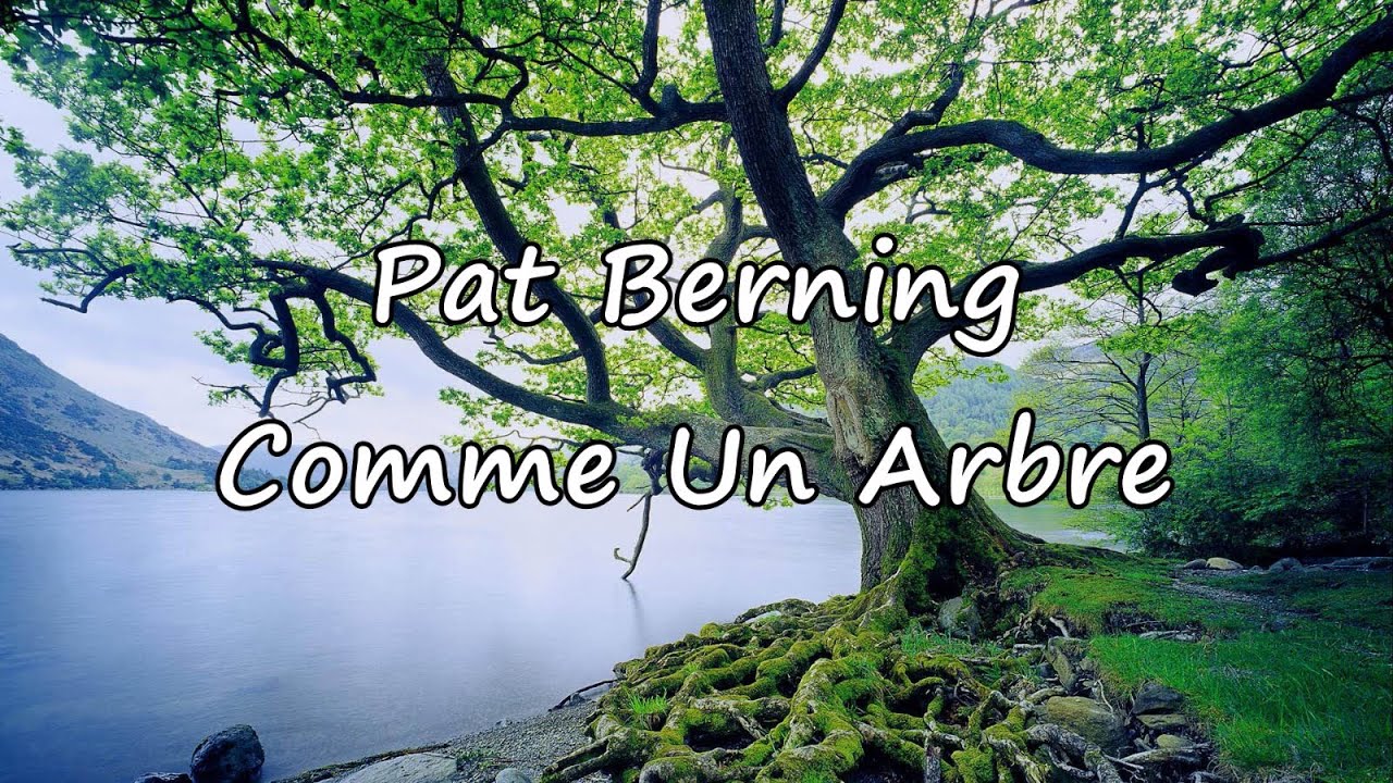 Pat Berning - Comme Un Arbre [avec paroles]
