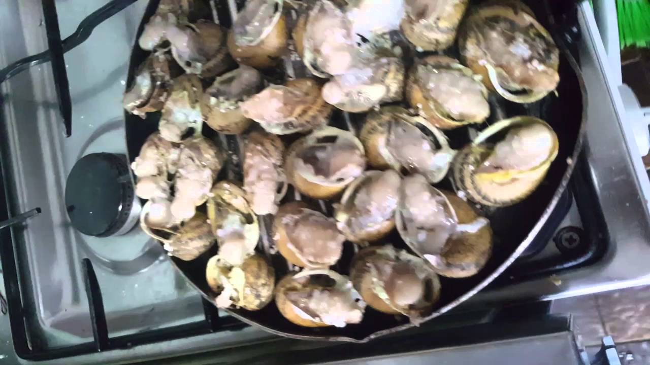 Caracoletas Assadas