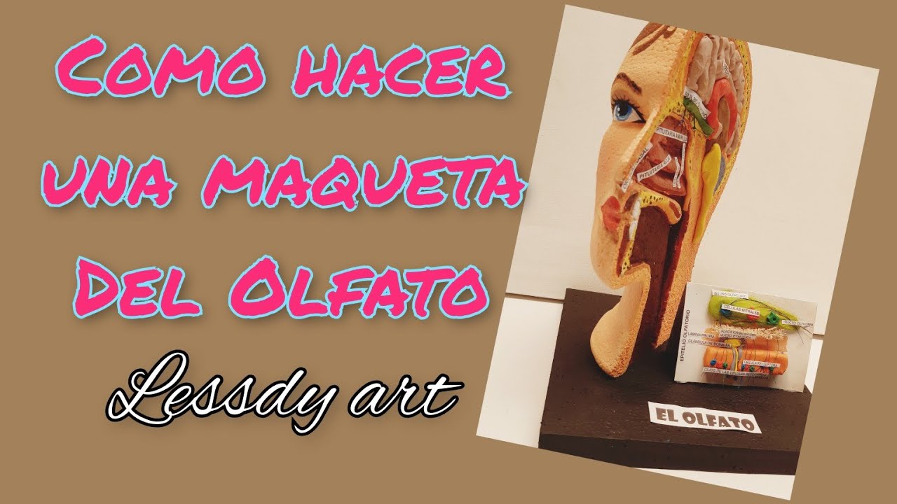 como hacer una maqueta del olfato