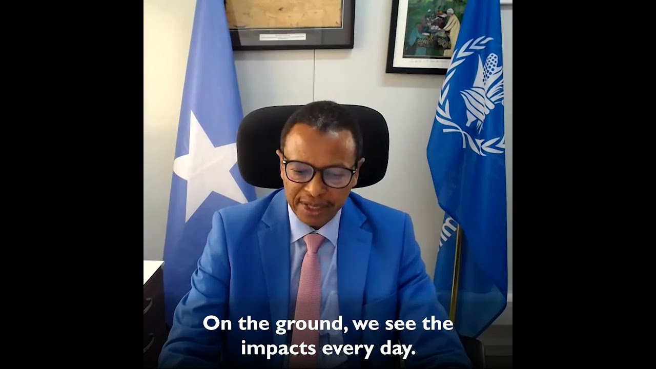 6.4 million Somalis face acute food insecurity