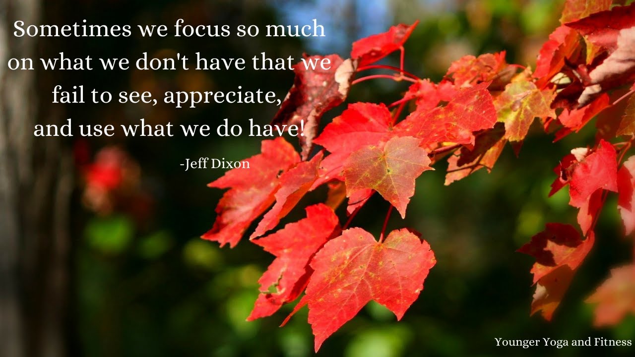 Meditations On Focus, Day 31:  I Appreciate All That I Have