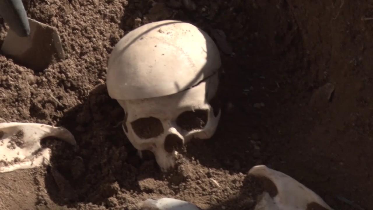 Cold Case Trailer