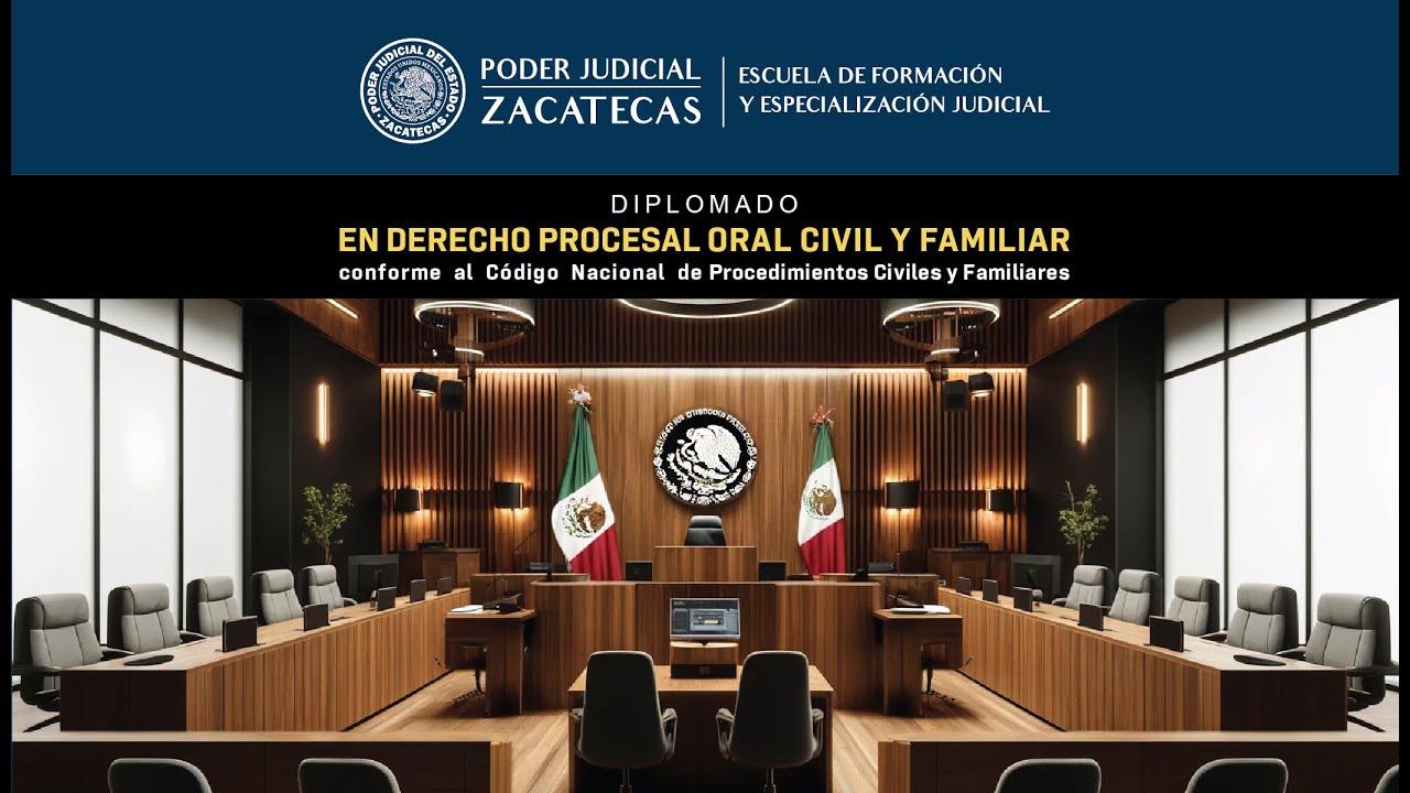 TÉCNICAS DE LITIGACIÓN EN MATERIA CIVIL Y FAMILIAR - 10 OCTUBRE 2024