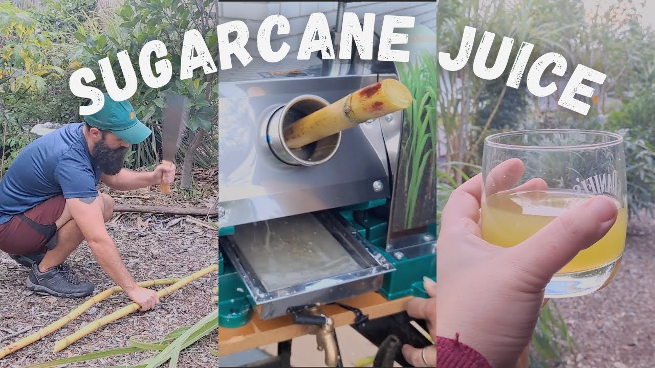 Sugarcane Press UNBOXING and our FIRST JUICING!!!