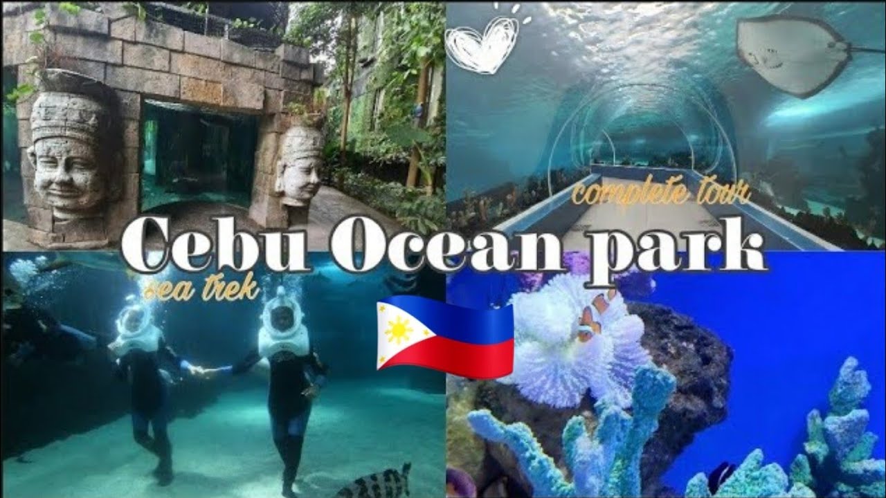 CEBU OCEAN PARK | LARGEST AQUARIUM | PHILIPPINES🇵🇭#cebuoceanpark#sea treak#philippines#virtualtour