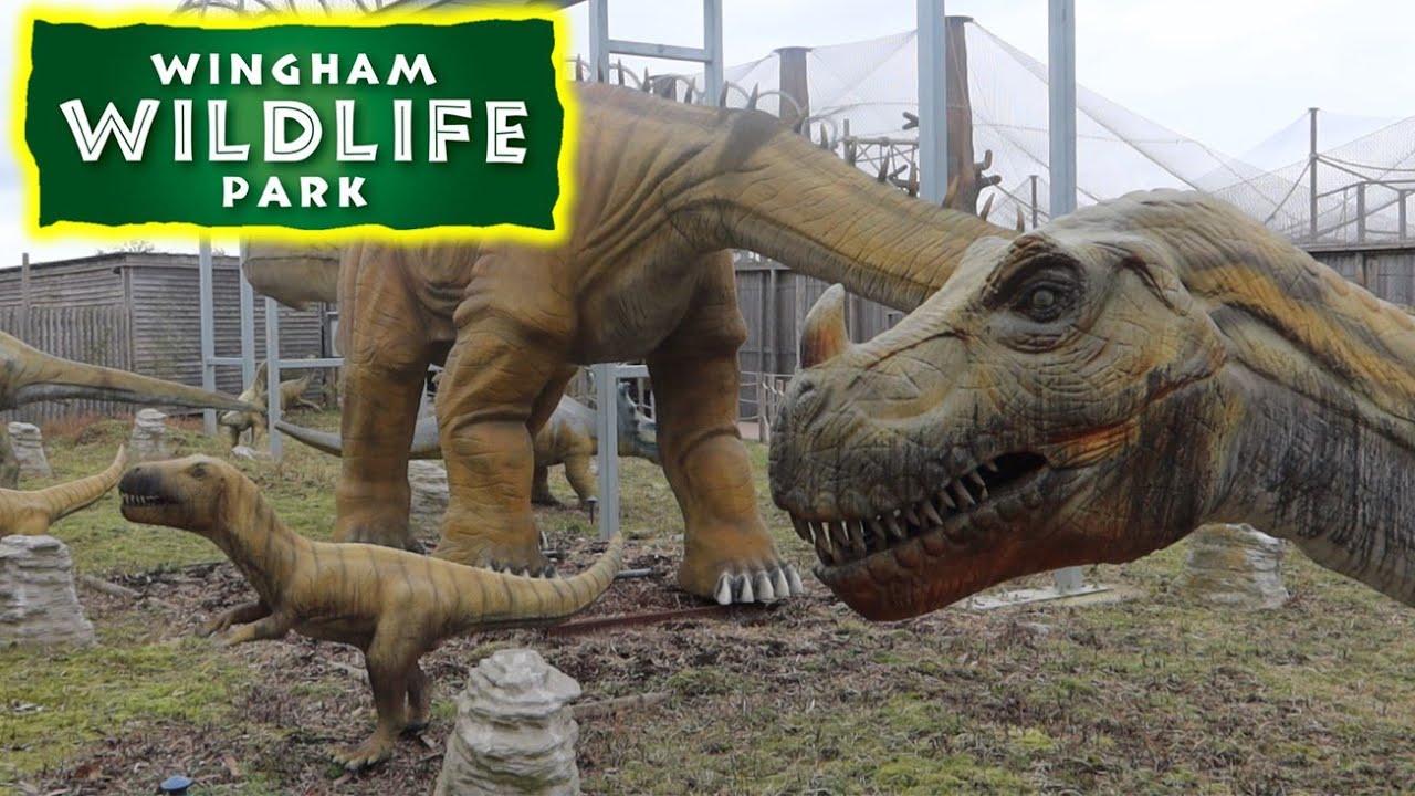 Dinosaurs and full tour of Wingham Wildlife Park 2024