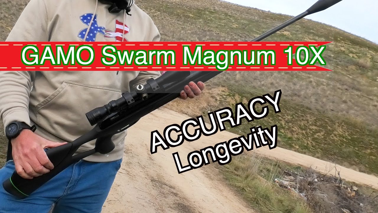 Обзор пневматической винтовки Gamo Swarm Magnum 3i 10x .22 (точность и дальность стрельбы/количес...
