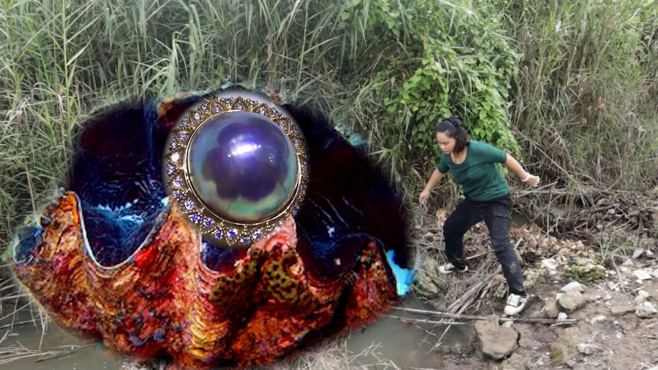 🔮🔮  She dug up a freshwater giant clam - and then discovered a diamond pearl worth $300000