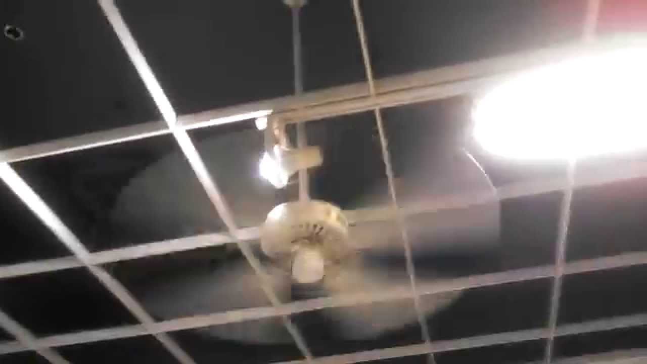 Hunter Original and Craftmade Ceiling Fans in a Kmart Little Caesars Snack Bar