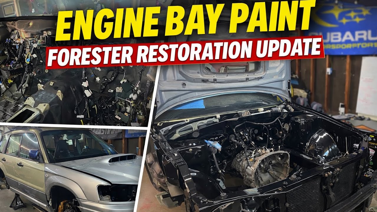 Engine Bay Paint & Swap Update (SG Forester STI Swap)