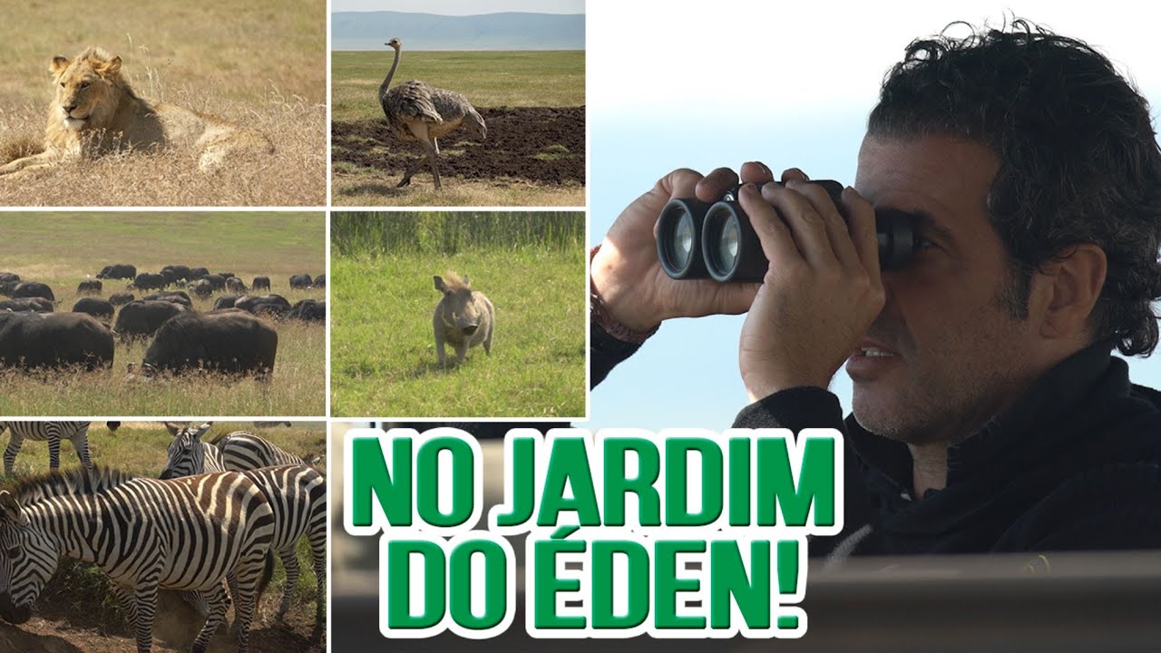 A incr&iacute;vel cratera de Ngorongoro, na Tanz&acirc;nia