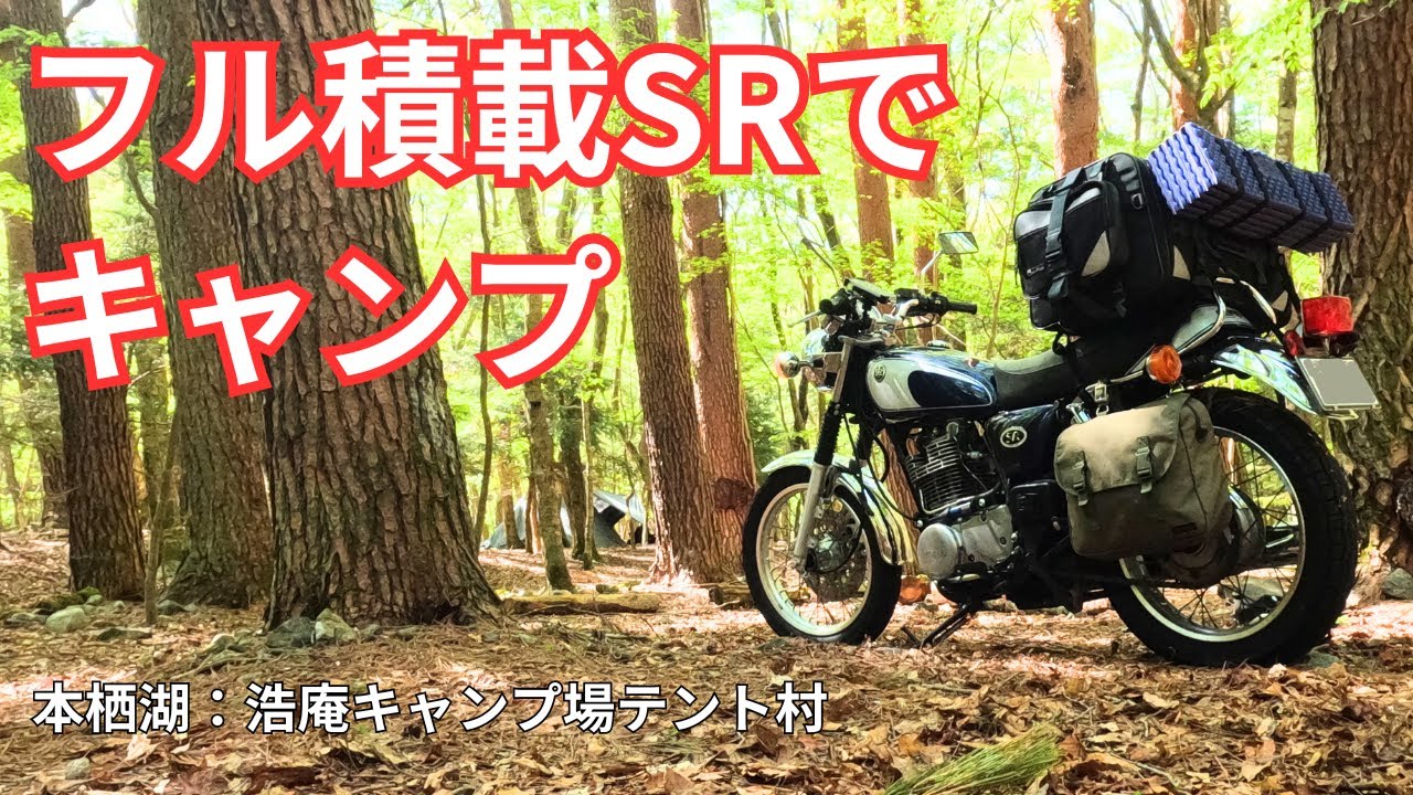 【SRキャンプ】本栖湖・穴場の林間サイトで優雅な時間│朝霧高原の快走ロードも紹介