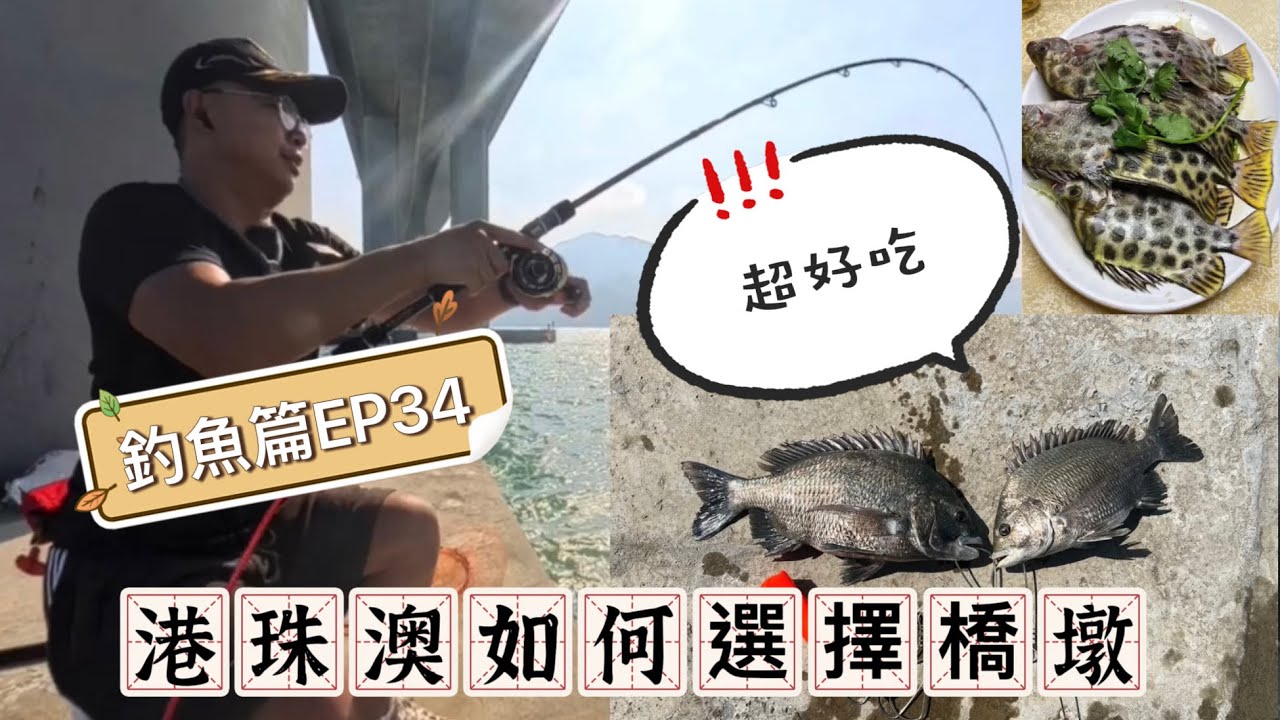 《釣魚篇EP34》 港珠澳橋如何選擇橋墩作釣？金鼓牛屎𩶘火鍋一流！#釣魚 #筏釣り #香港釣魚 #火鍋 #金鼓 #牛屎𩶘 #海釣り