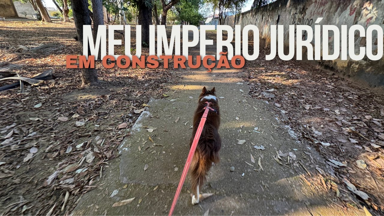 Vlog #17 - uma semana construindo meu mini império jurídico|rotina de um jovem advogado empreendendo