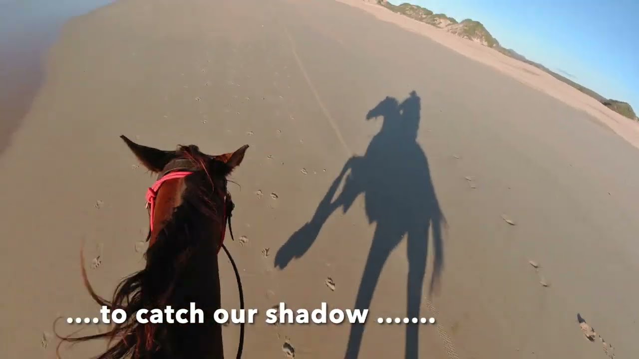 Horse riding Namibia & South Africa