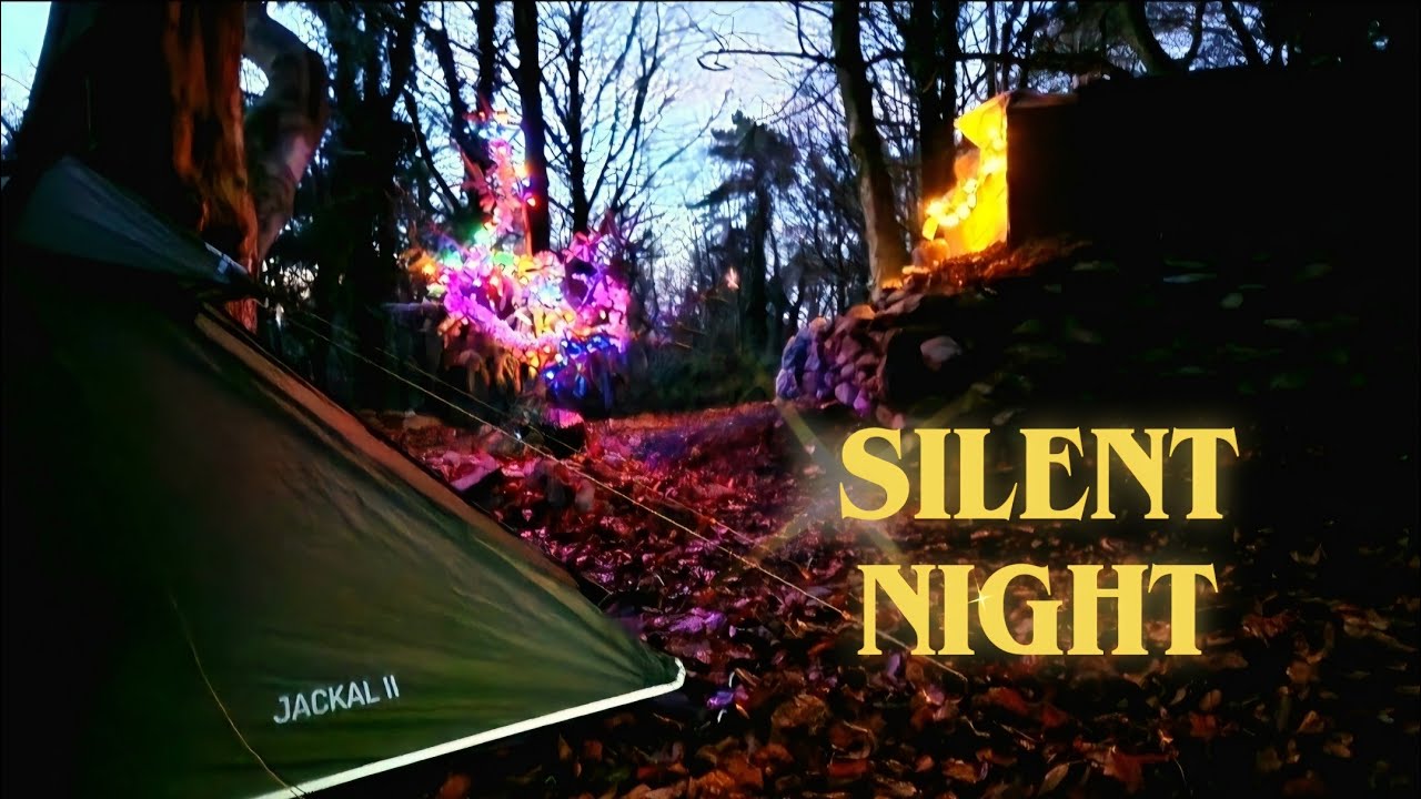 Christmas Alone in the Woods | Bushcraft Shelter & Fire-Cooked Festive Feast 