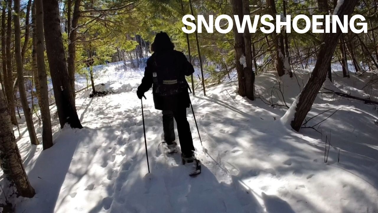 First Time Snowshoeing 