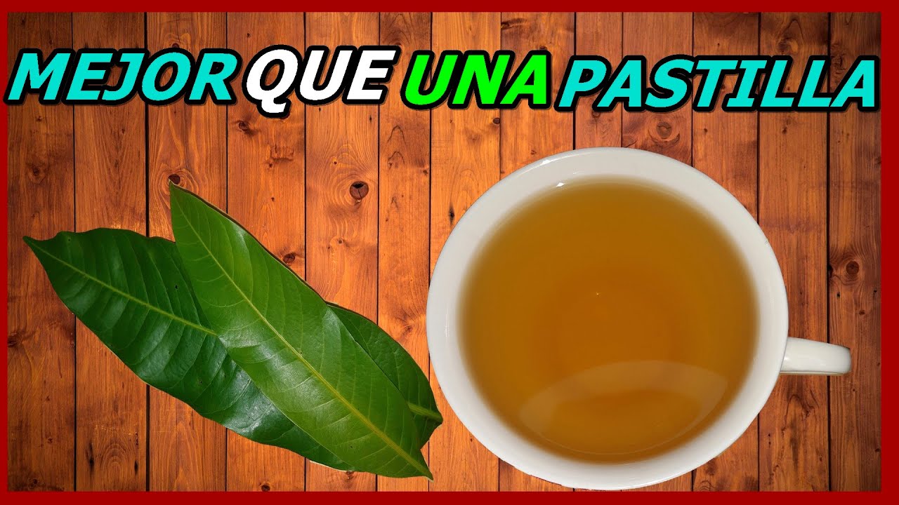 Prueba este incre&iacute;ble te de HOJAS DE MANGO y los beneficios que vas a obtener TE ENCANTARAN.