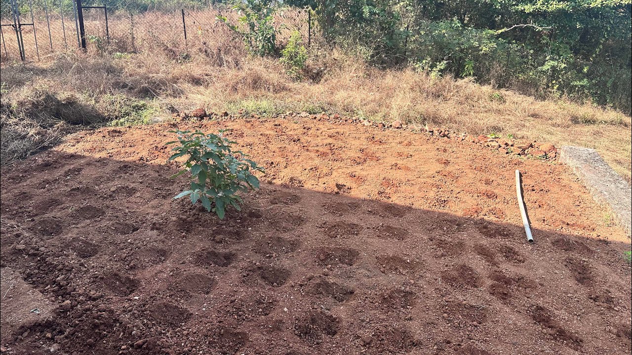 Organizing My Farm: Major Drip Irrigation Upgrade & Organic Pest Control! 🚜🌱