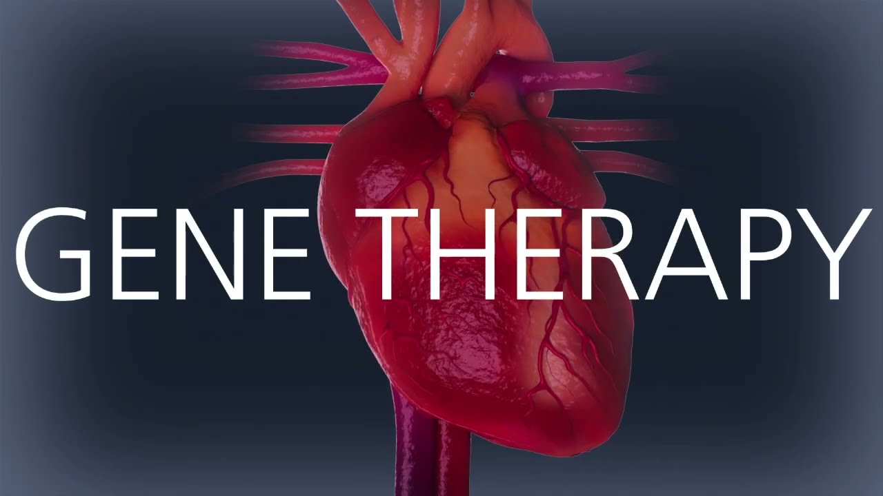 Learn how Tenaya&rsquo;s TN-201 gene therapy for MYBPC3-associated HCM works