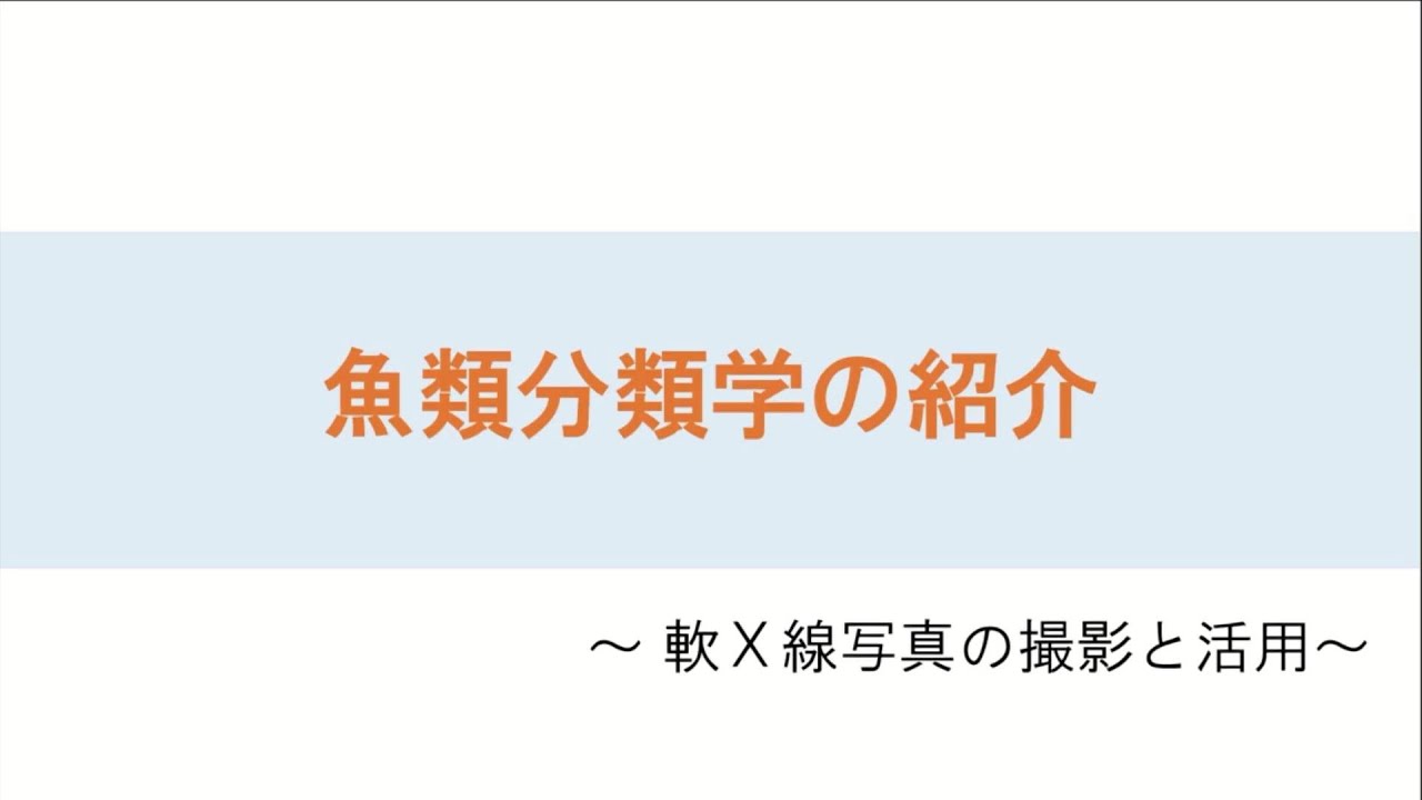 魚類分類学の紹介　～軟Ｘ線写真の撮影と活用～