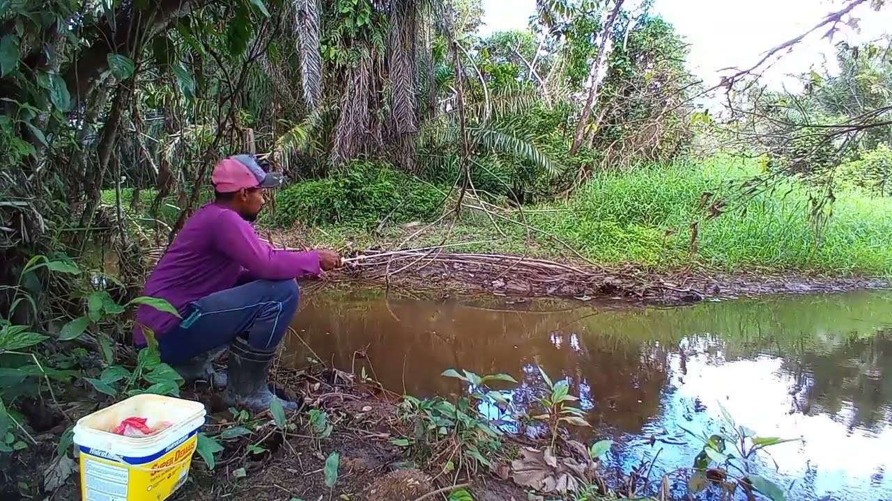Nunca duvide de um riacho assim 