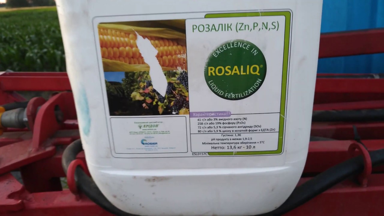 ЦИНК. Листове підживлення кукурудзи ДКС 3811