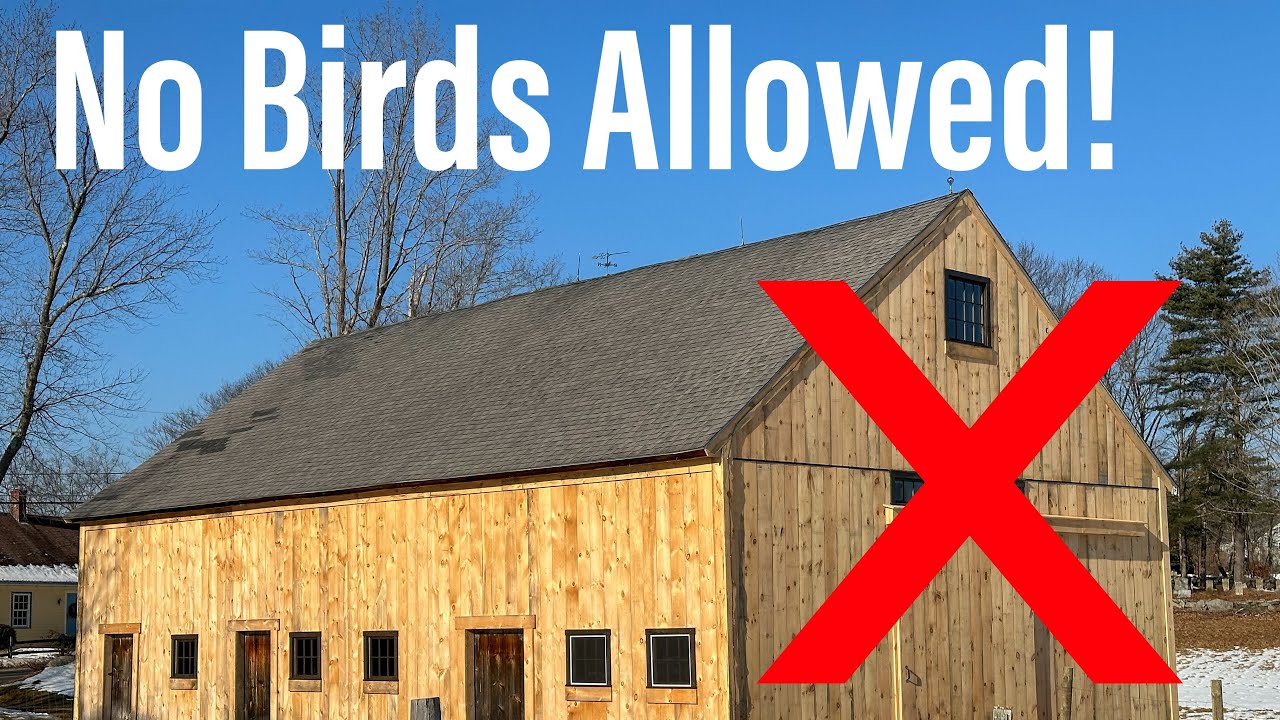 Building Barn Swallow Nest Boxes - A New Home After Eviction from INSIDE the Barn