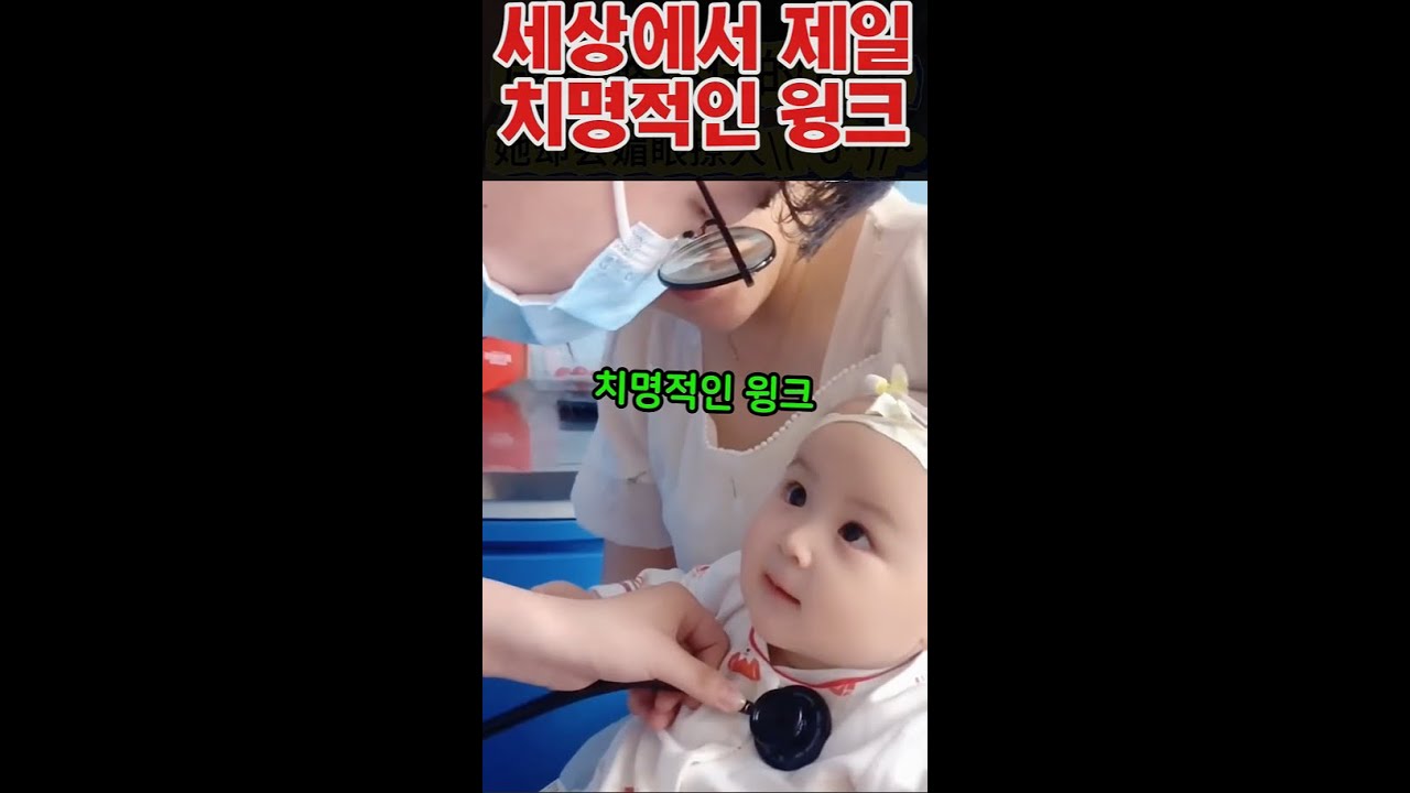 눈호강 영상들+신기한 영상