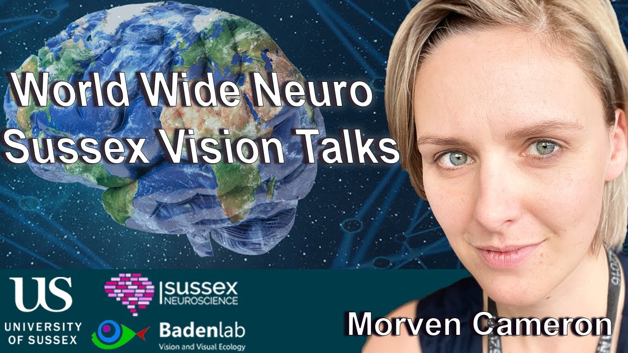 World Wide Neuro | Sussex Vision Series - 26/06/2023 - Dr. Morven Cameron