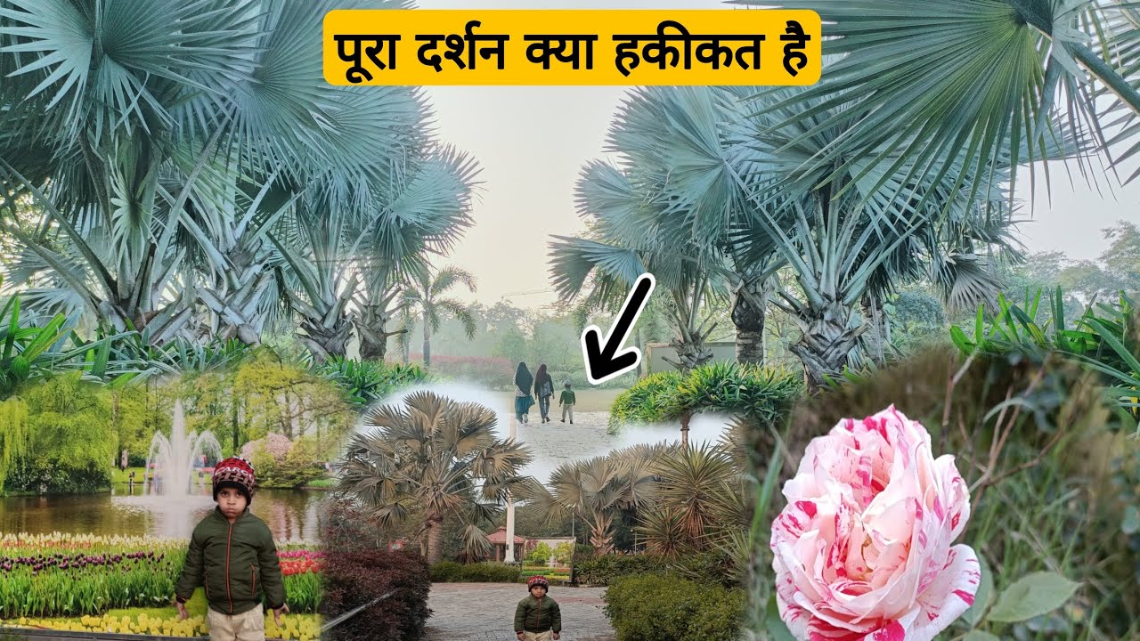 आज दर्शन करते है पूरे पार्क के 🔥 Hapur Ram Manohar Lohiya 🏞️ Park || #park #reels