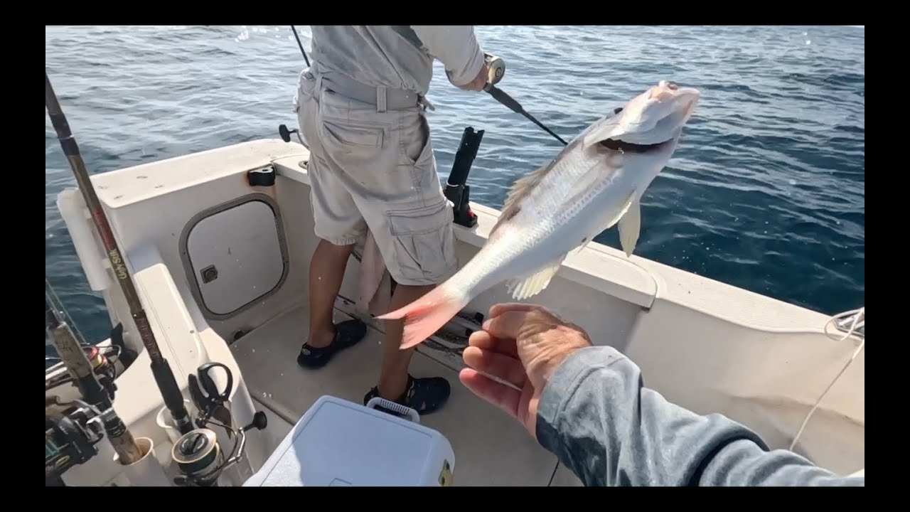 Gulf of Mexico  Fishing What is it and what lives there?Рыбалка в Мексиканском заливе?