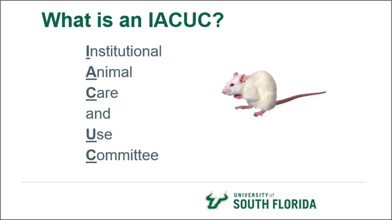 Introduction to the USF IACUC Program