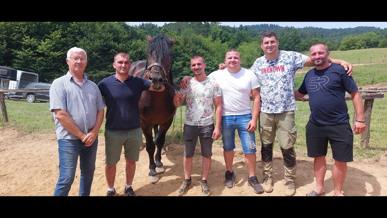 7.ŠTRAPARIJADA KOD ŽELJKA ĆOSIĆA - SAMCI DO 550kg