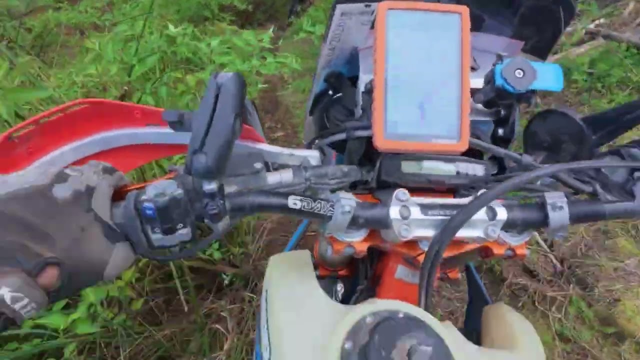 Wild Pines Rally Day 2 - great ride, bad camera angle 