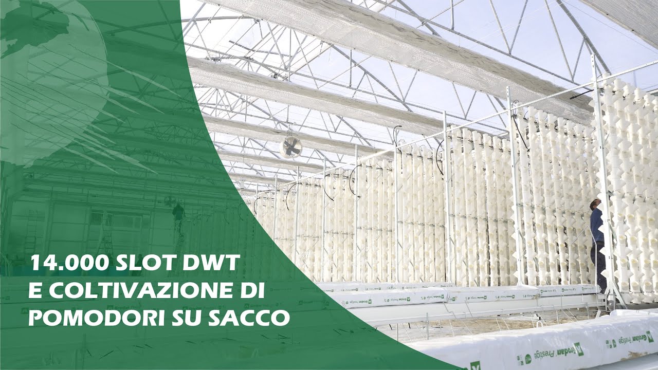 SERRA IDROPONICA AUTOMATIZZATA