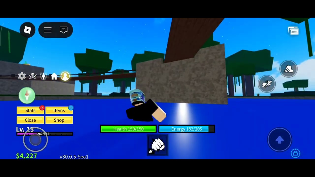 Playing bloxfruits 